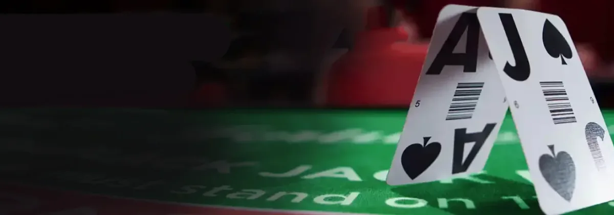 Mega Casino